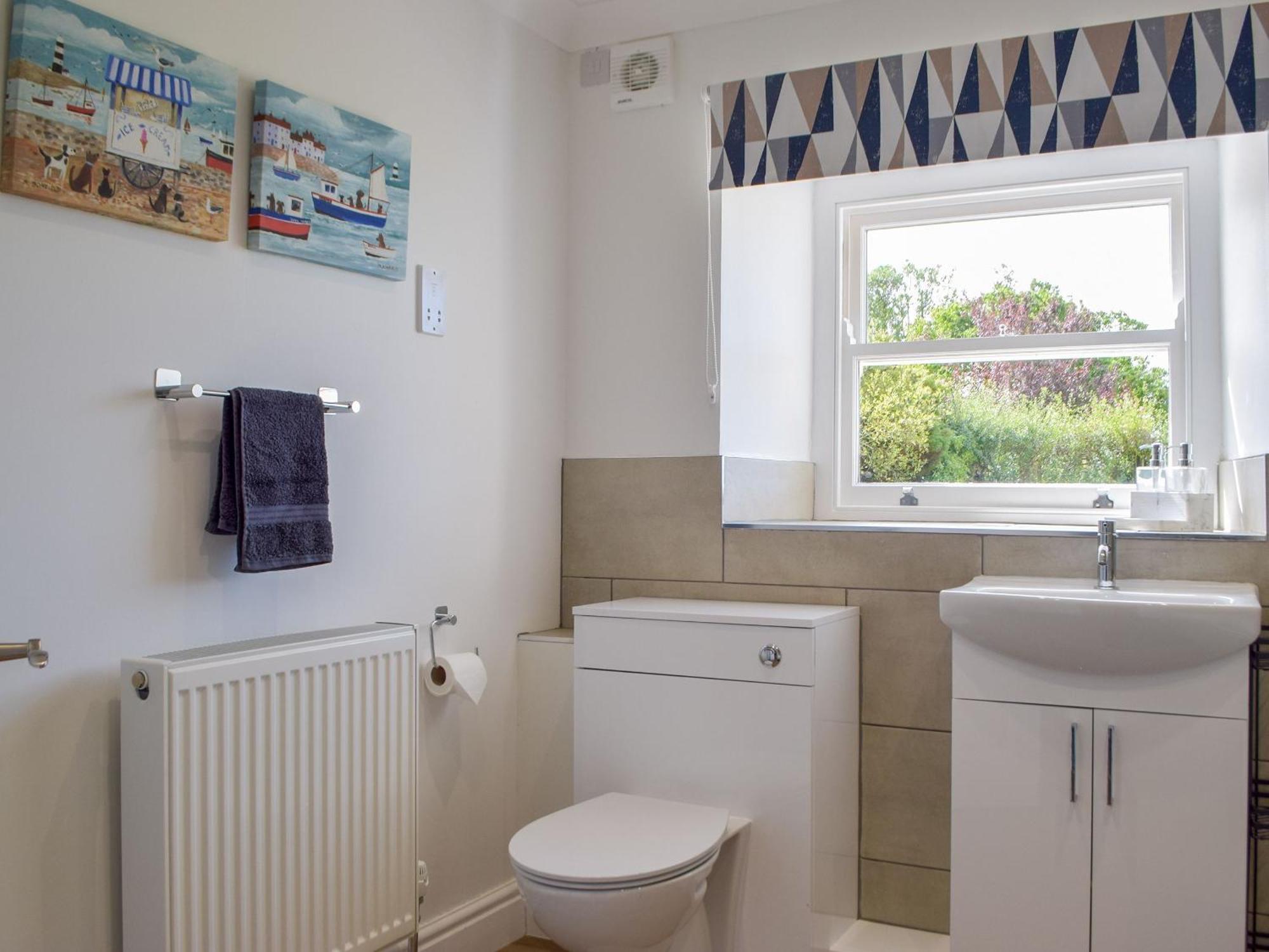 Tyn Y Coed Villa Betws Ifan Dış mekan fotoğraf